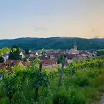 Le Parc Du Sequoia & Proche Colmar Et Riquewihr Dom wakacyjny