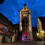 Le Parc Du Sequoia & Proche Colmar Et Riquewihr Dom wakacyjny