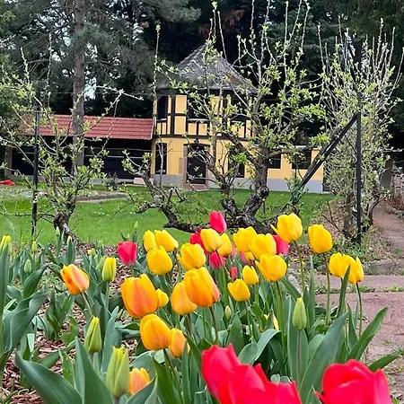 Le Parc Du Sequoia & Proche Colmar Et Riquewihr 오스트하임