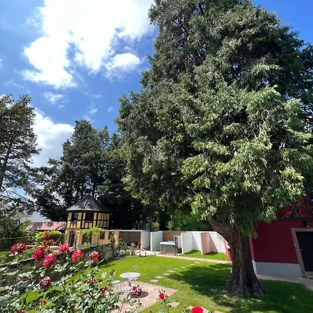 펜션 Le Parc Du Sequoia & Proche Colmar Et Riquewihr