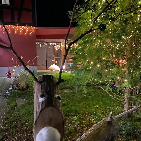 Le Parc Du Sequoia & Proche Colmar Et Riquewihr * أوستا