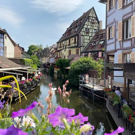 Le Parc Du Sequoia & Proche Colmar Et Riquewihr *