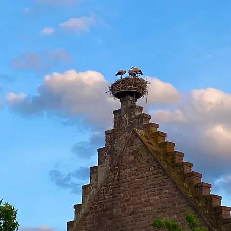 Le Parc Du Sequoia & Proche Colmar Et Riquewihr *