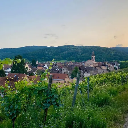 Le Parc Du Sequoia & Proche Colmar Et Riquewihr بيت للعطل
