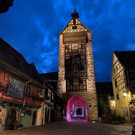 Le Parc Du Sequoia & Proche Colmar Et Riquewihr Nyaraló